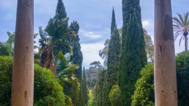 Le jardin du Rayol