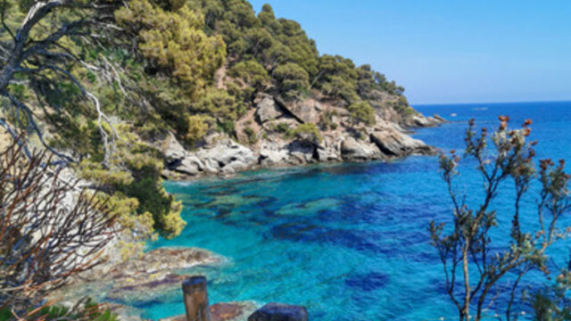 Le jardin du Rayol vue sur la mer