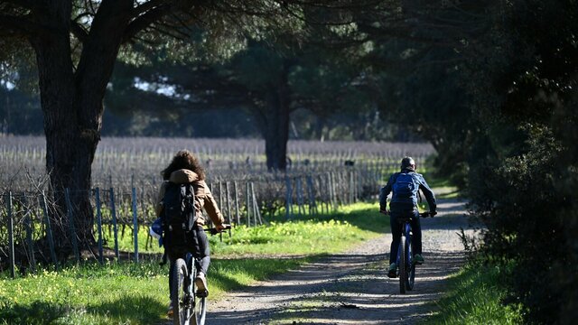 Balade à VTT à Porquerolles