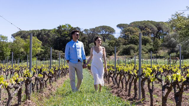 Balade romantique dans les vignes