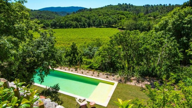 Vue sur la piscine et les vignes