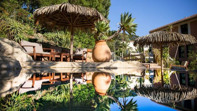 Jardin de votre hôtel à Porquerolles