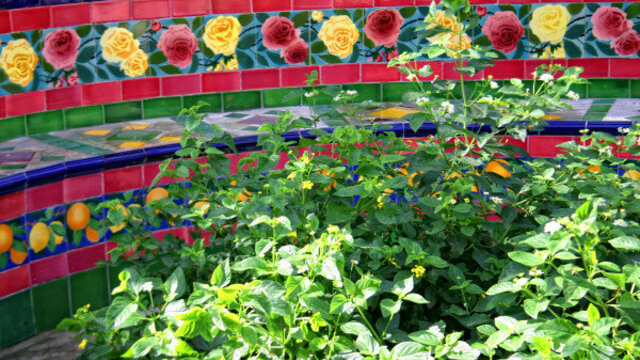 Visite guidée : Fontana Rosa, le jardin des Romanciers ; Laissez-vous conter Menton