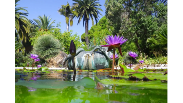 Visite guidée : Jardin M.Serena